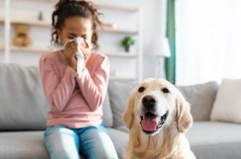Huisdieren allergie betrouwbare vingerprik | PostYourLab