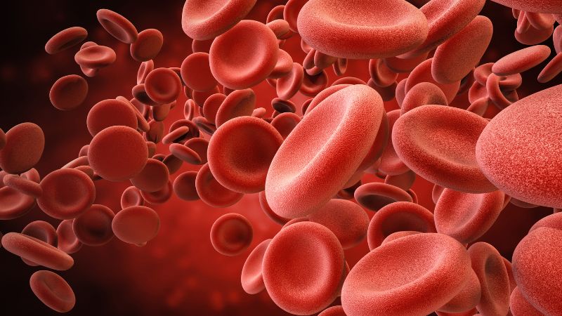 Blog Bloedarmoede, hemoglobine, witte bloedcellen, rode bloedcellen